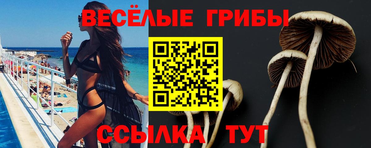 Югорск  Галлюциногенные грибы мухоморы  купить закладку  Вход с VPN 